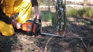 Landscape Design and Installation in Brookville, PA